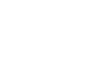 telecel_logo_white_transparent
